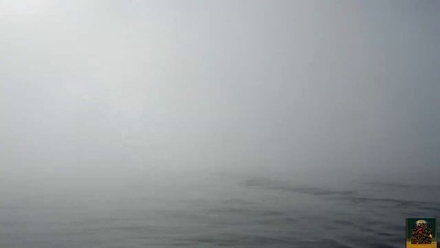 наутилус помпилиус летучий фрегат
