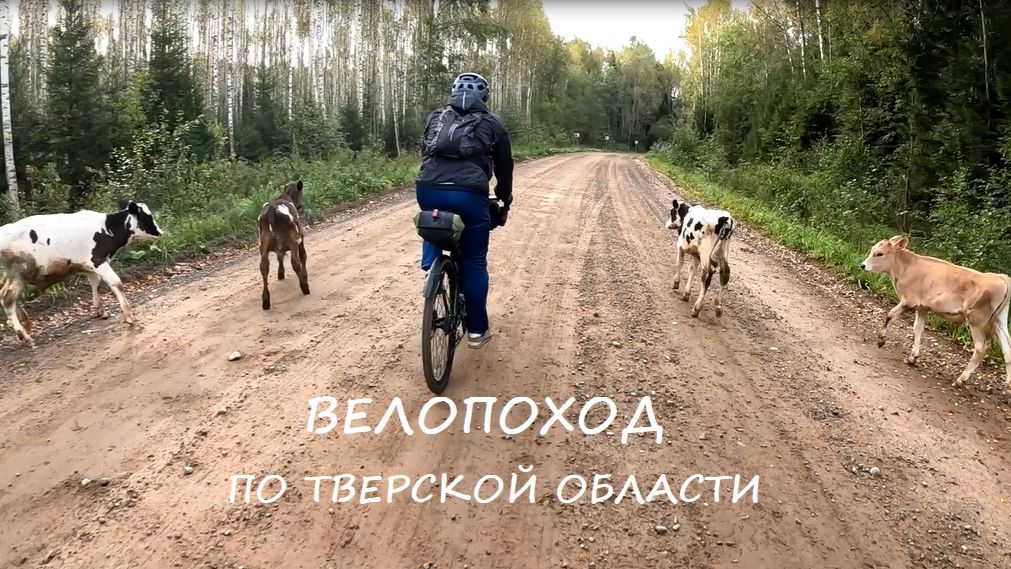 ВелоПоходы