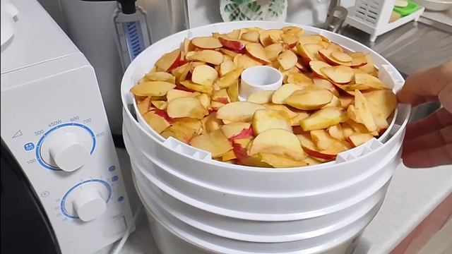 Проверяю в работе электросушилку для фруктов Чудесница.