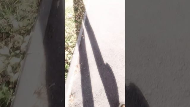 Иду за тинтом-помадой в магнит 