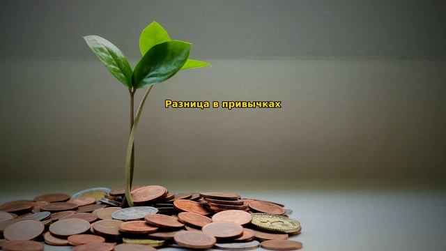 Привычки бедных и богатых.