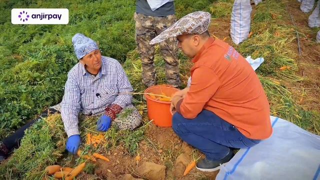 ПОЛЯ ХАЁТИ. ВОЛГОГРАД. 1 KUNDA QANCHA TOPADI?