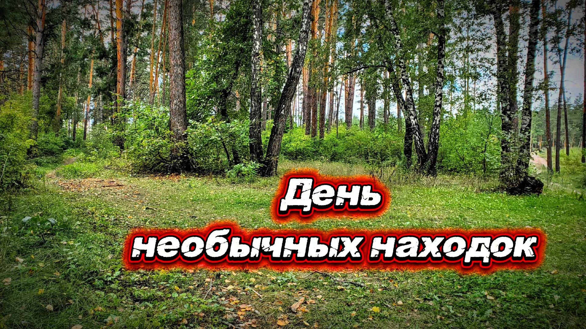 Необычные находки в лесу. Skycruiser S63.