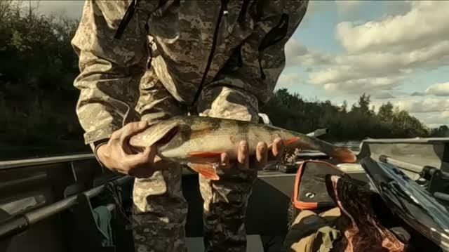 Б.Иргиз, рыбалка