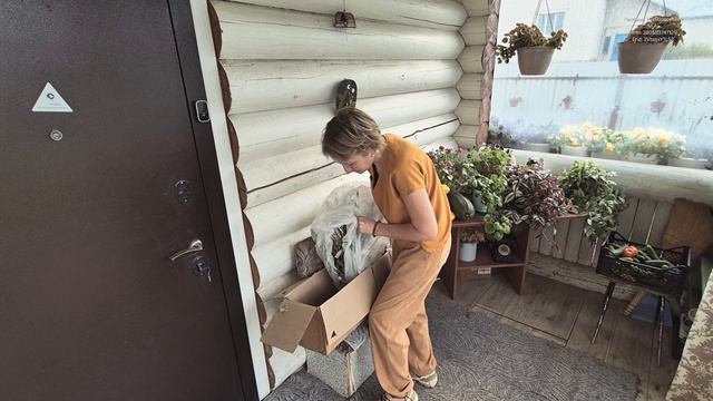 ПРИЕХАЛА ПОСЫЛКА С РОЗАМИ.
