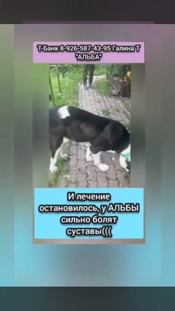 Найти Девушку Для Секса Ташкент Найти Девушку Для Секса Ташкент