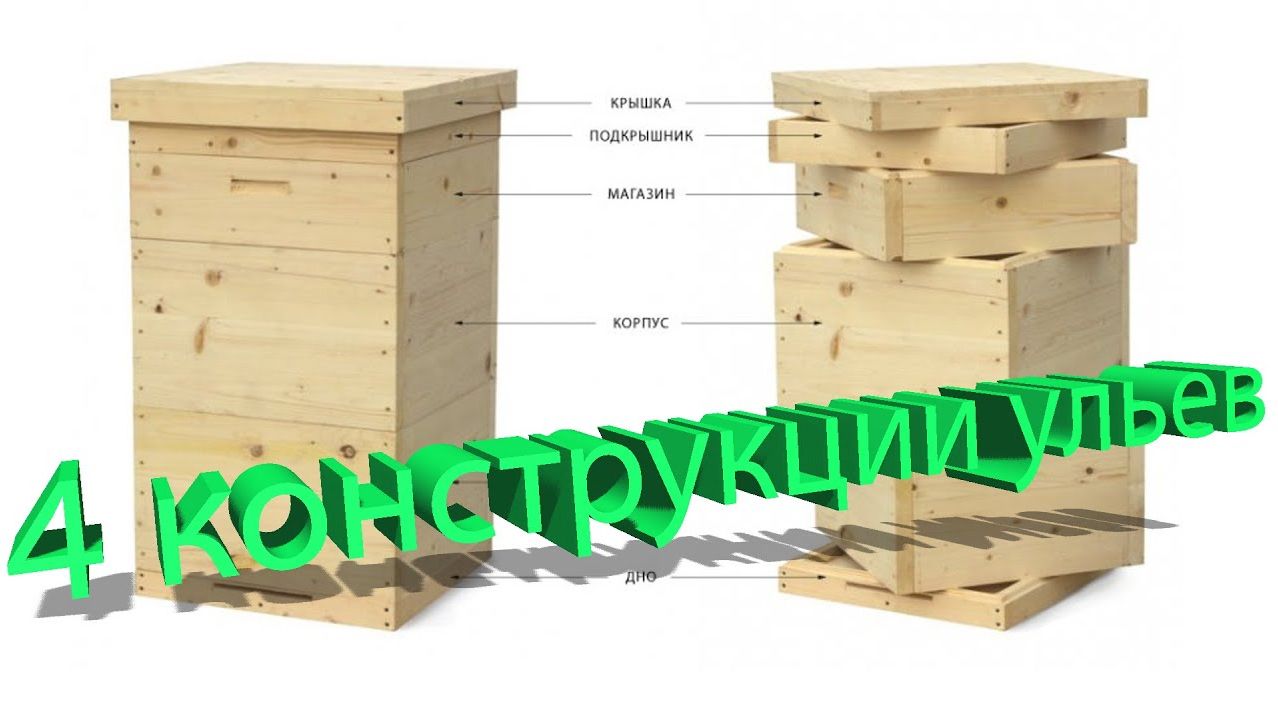 🏠 4 основные конструкции улья: какую выбрать? Отвечает профессор Кашковский 🐝📦