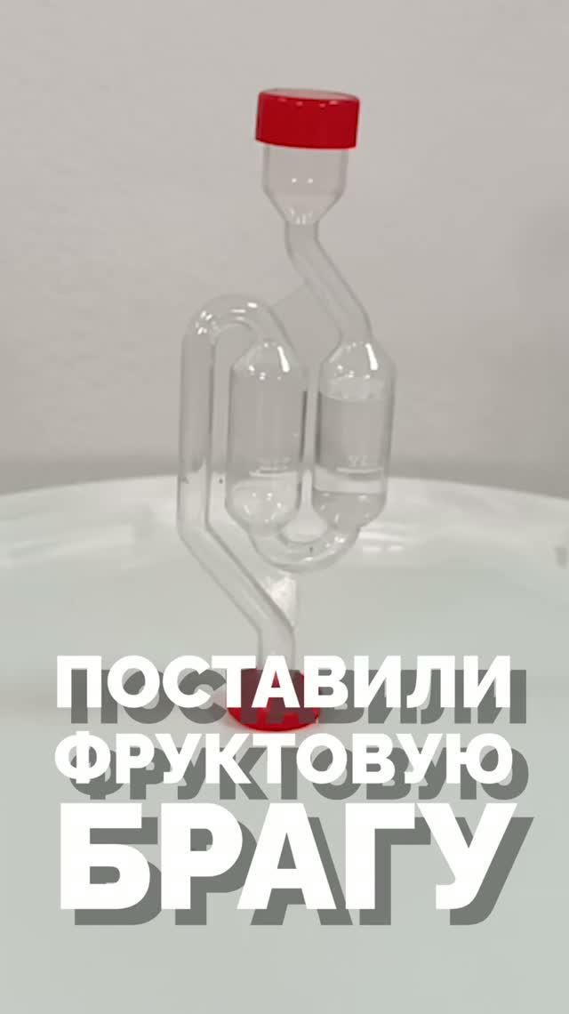 Брага не бродит? Срочно проверь это!