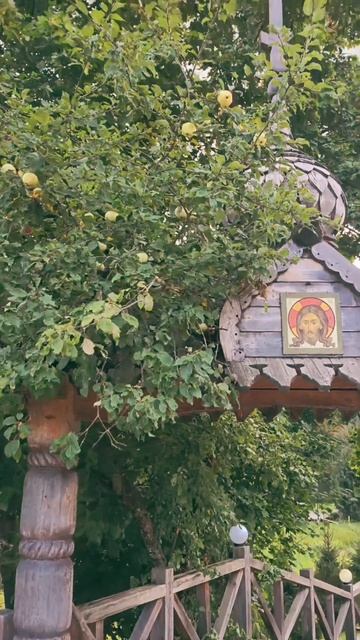 МК 5.45 - Родники (Версия №1)
На Гремячем ключе
#мк5_45 #мк545 #мк5_45дляпонимающих