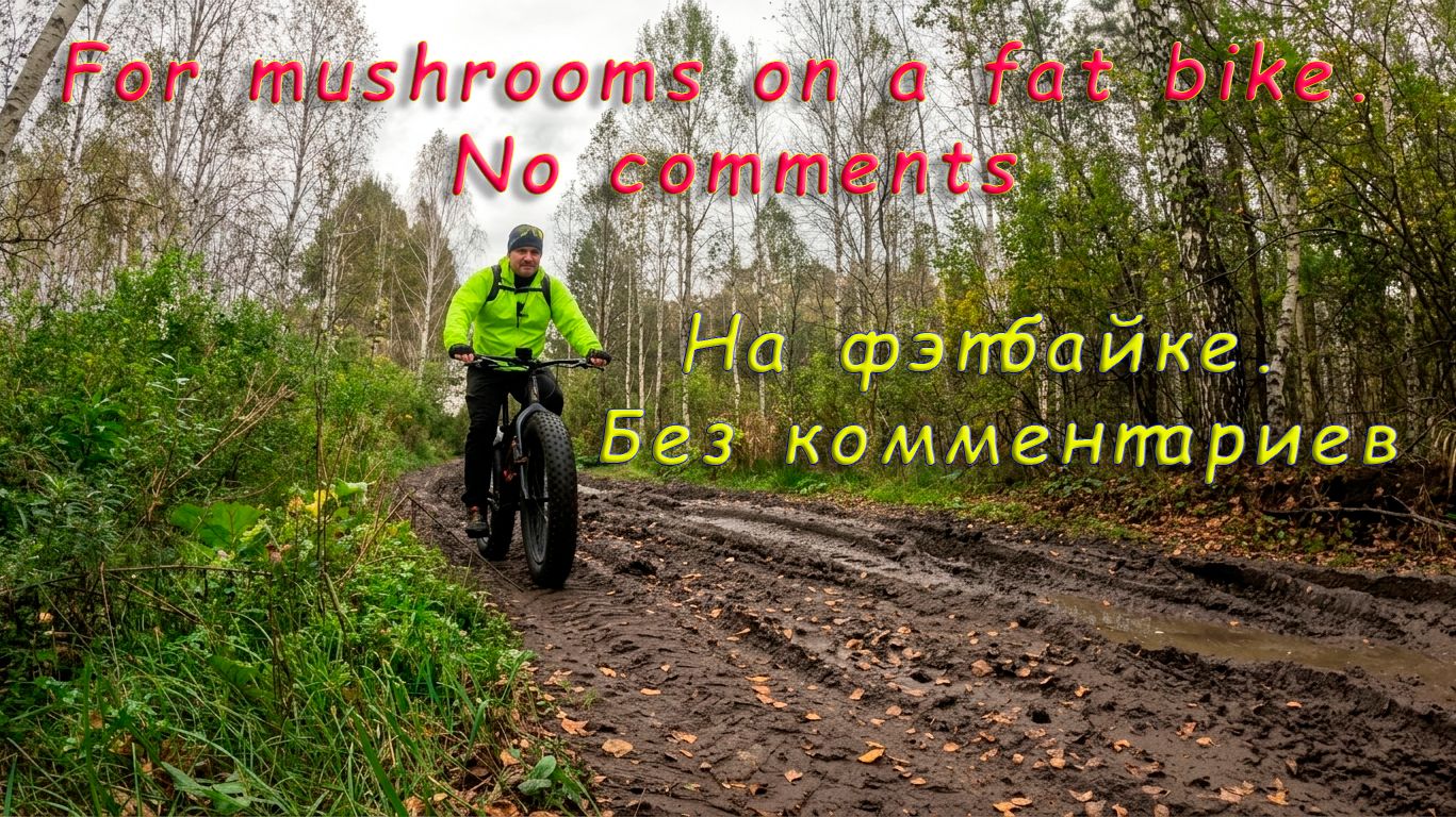 For Mushrooms On A Fat Bike. No Comments/ На фэтбайке без комментариев/ Хмельной рыбак