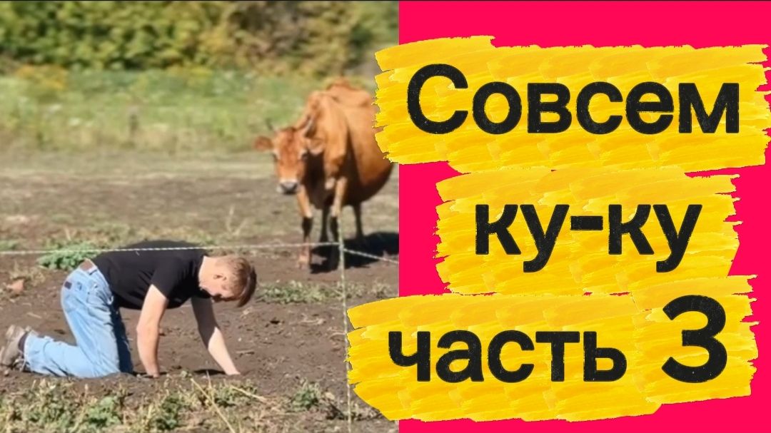 Часть 3 клоуны