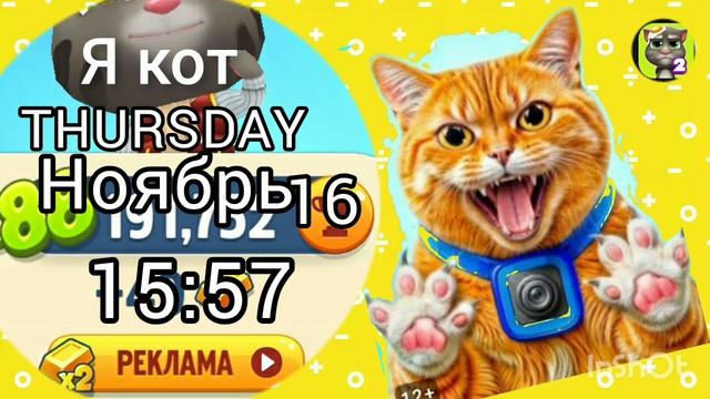 Я кот THURSDAY Ноябрь 16

15:57