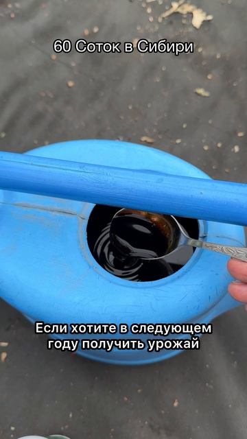 1 ложка на лейку и земля вновь новая и плодородная