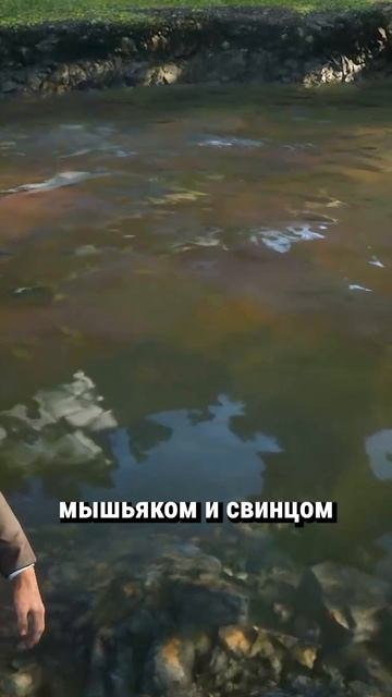 Проклятая земля в RDR 2