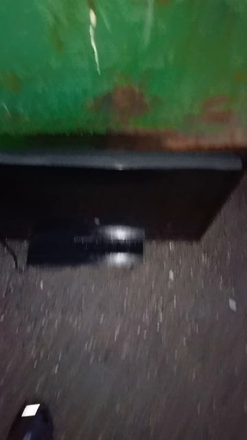 утро начинается с находки