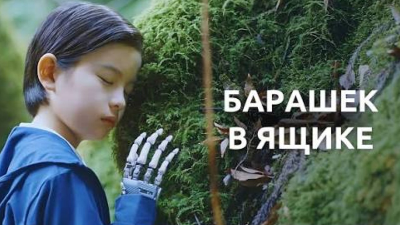 Барашек в ящике (2026) / Hako no Naka no Hitsuji / Sheep in the Box