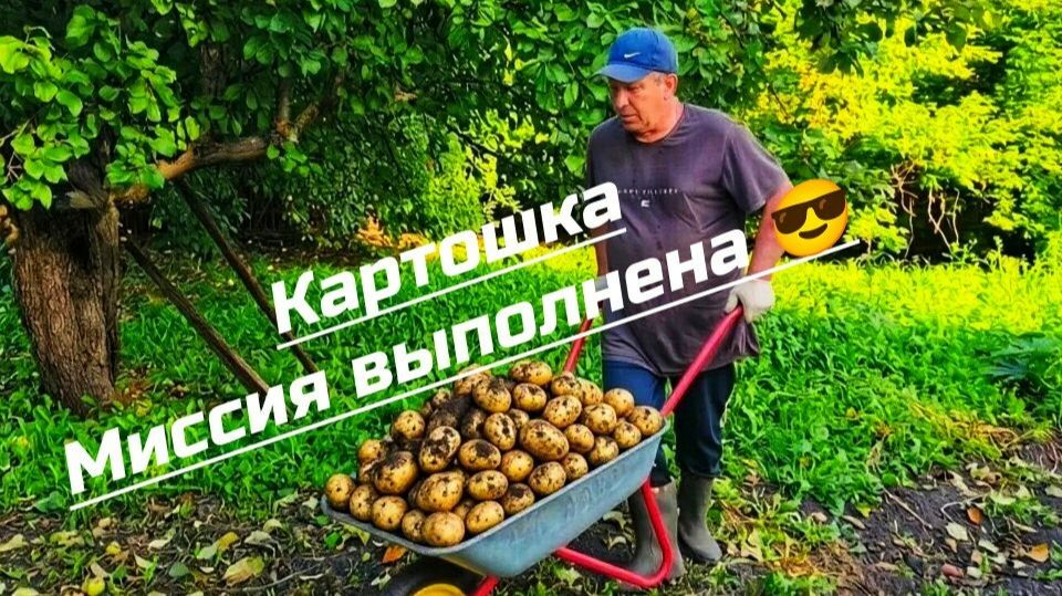 ДВА ЧЕЛОВЕКА, ОДНА ЛОПАТА, КУЧА КАРТОШКИ 🥔🥔🥔 Смотрите результат нашего урожая ✅