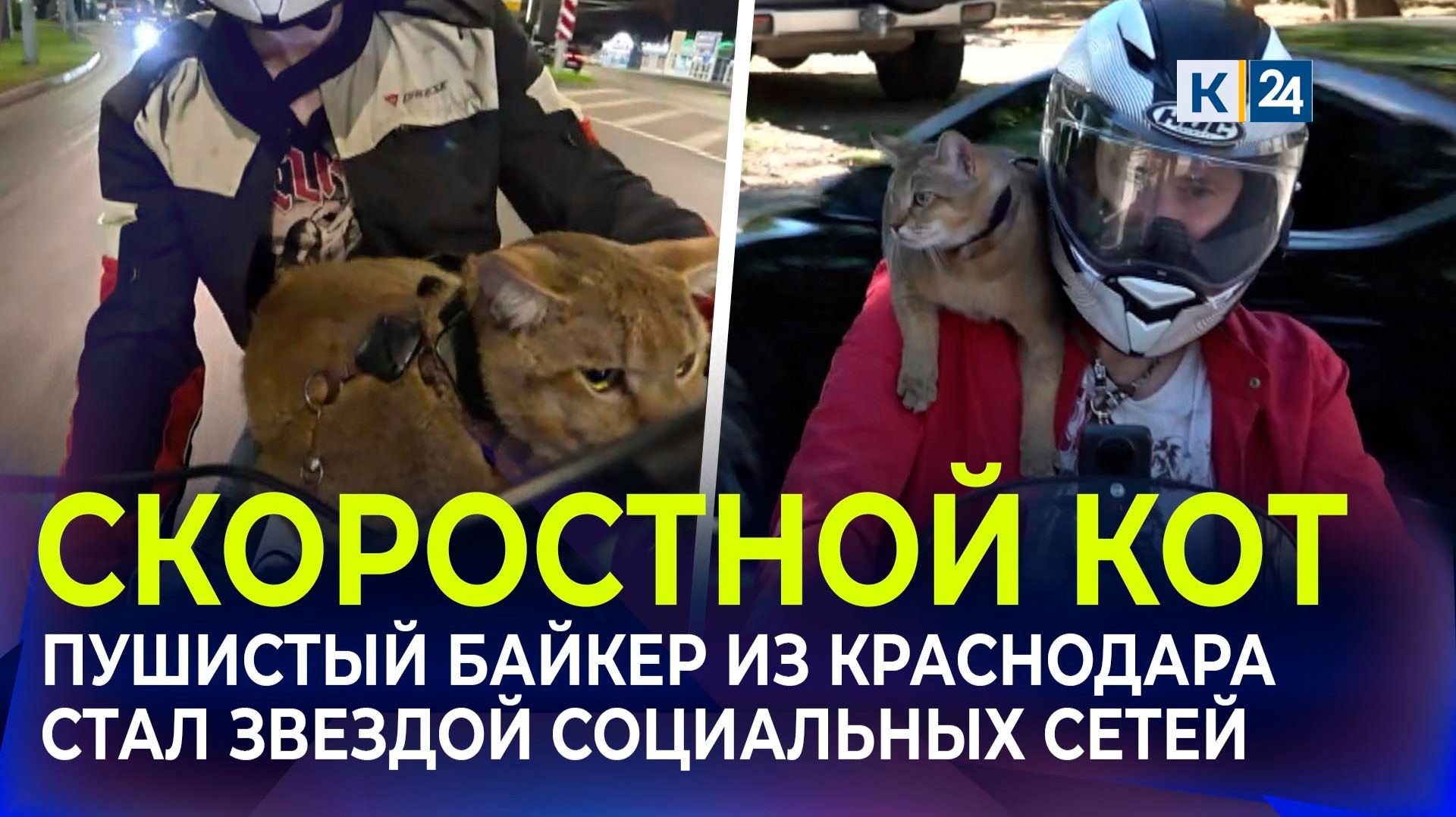 Сюжеты программы Факты 24
