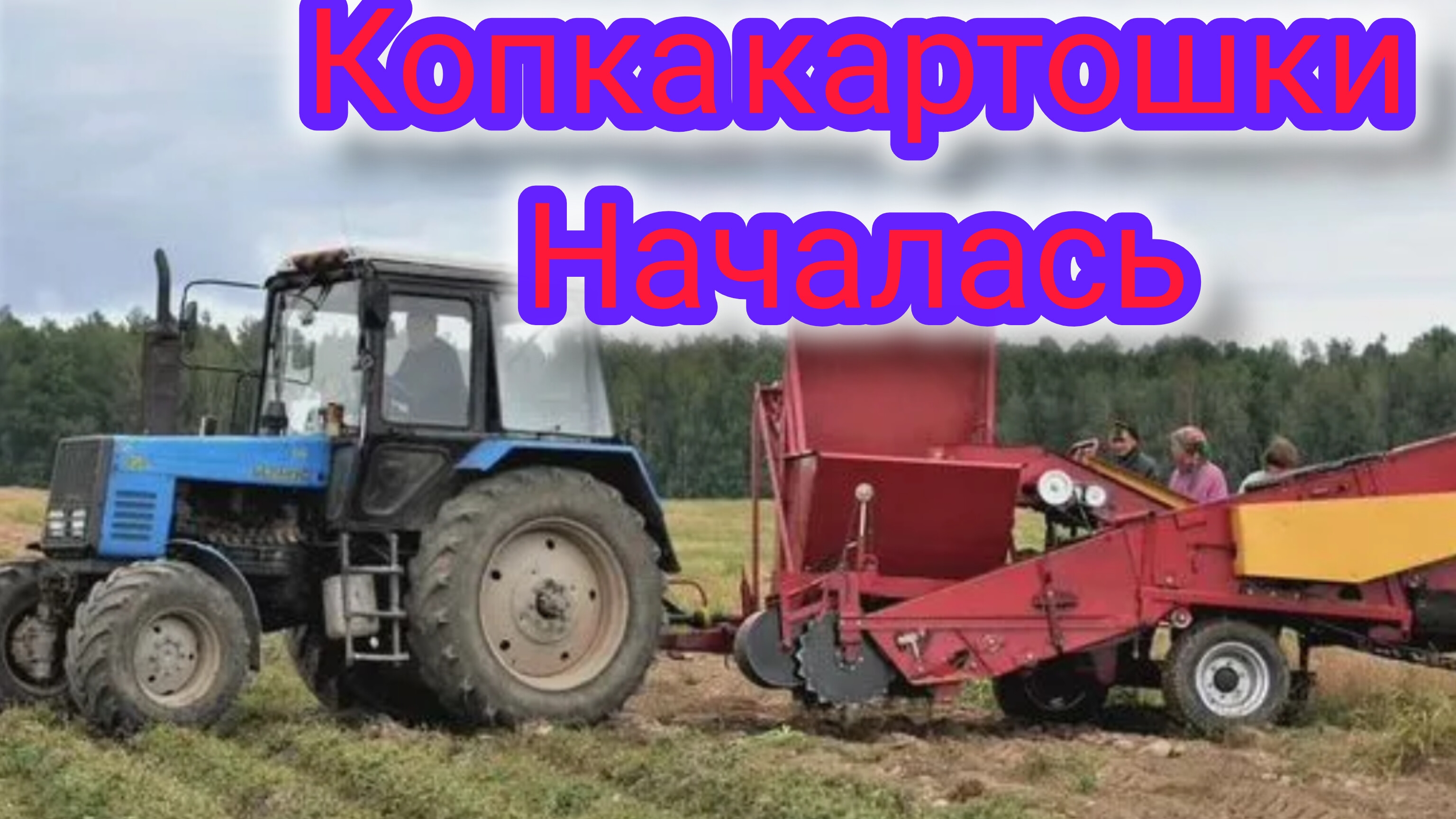 Комбайн в паре с МТЗ копают картошку.Как нынче урожайность и какая цена на данный момент.