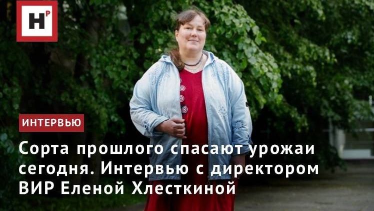 Сорта прошлого спасают урожаи сегодня. Интервью с директором ВИР Еленой Хлесткиной