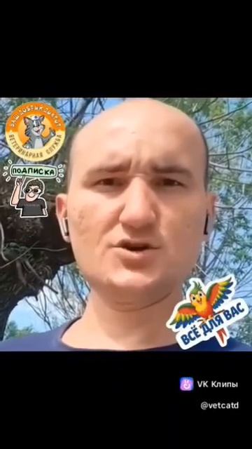 ⚡️НЕ ПЫХТИ, ЗАХОДИ 🐈