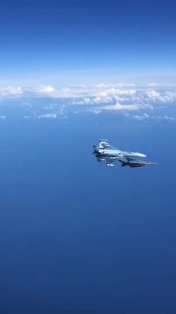 Су-35 дерзко отгоняет F-15 от правительственного борта РФ!