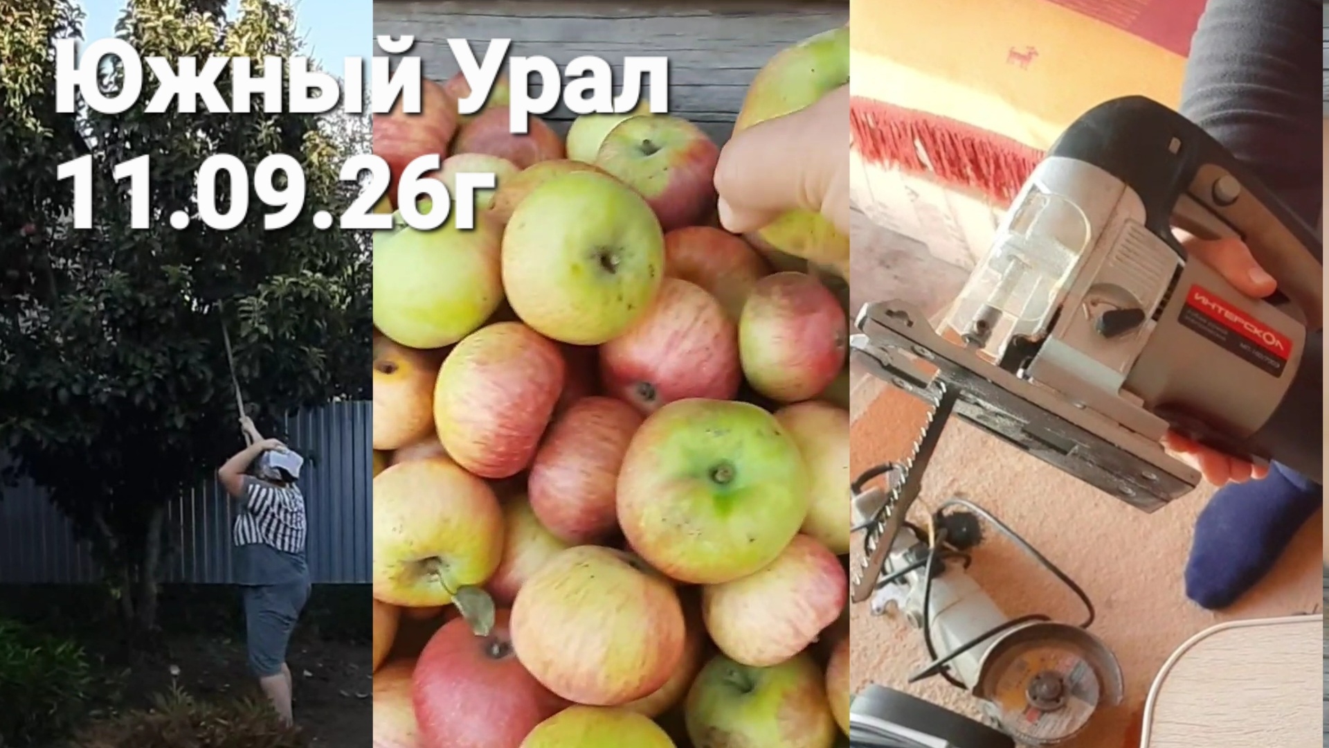 переезд на юг