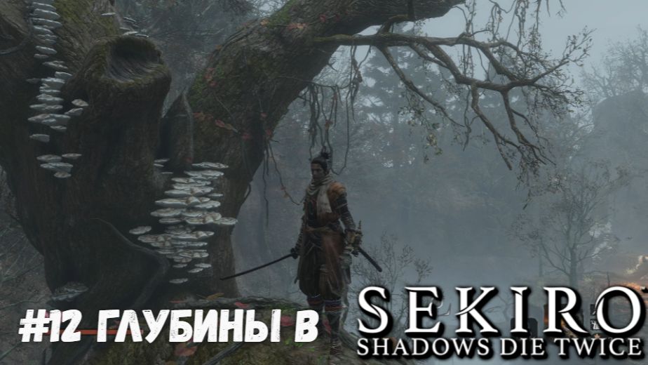 #12 Глубины в Sekiro-Shadows Die Twice