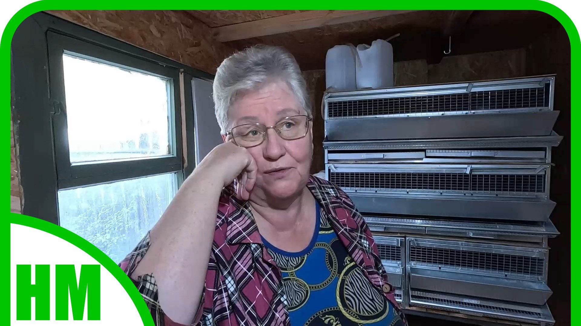 14 сентября. Вычистила до конца теплицу. Готовимся к приёму перепелов.