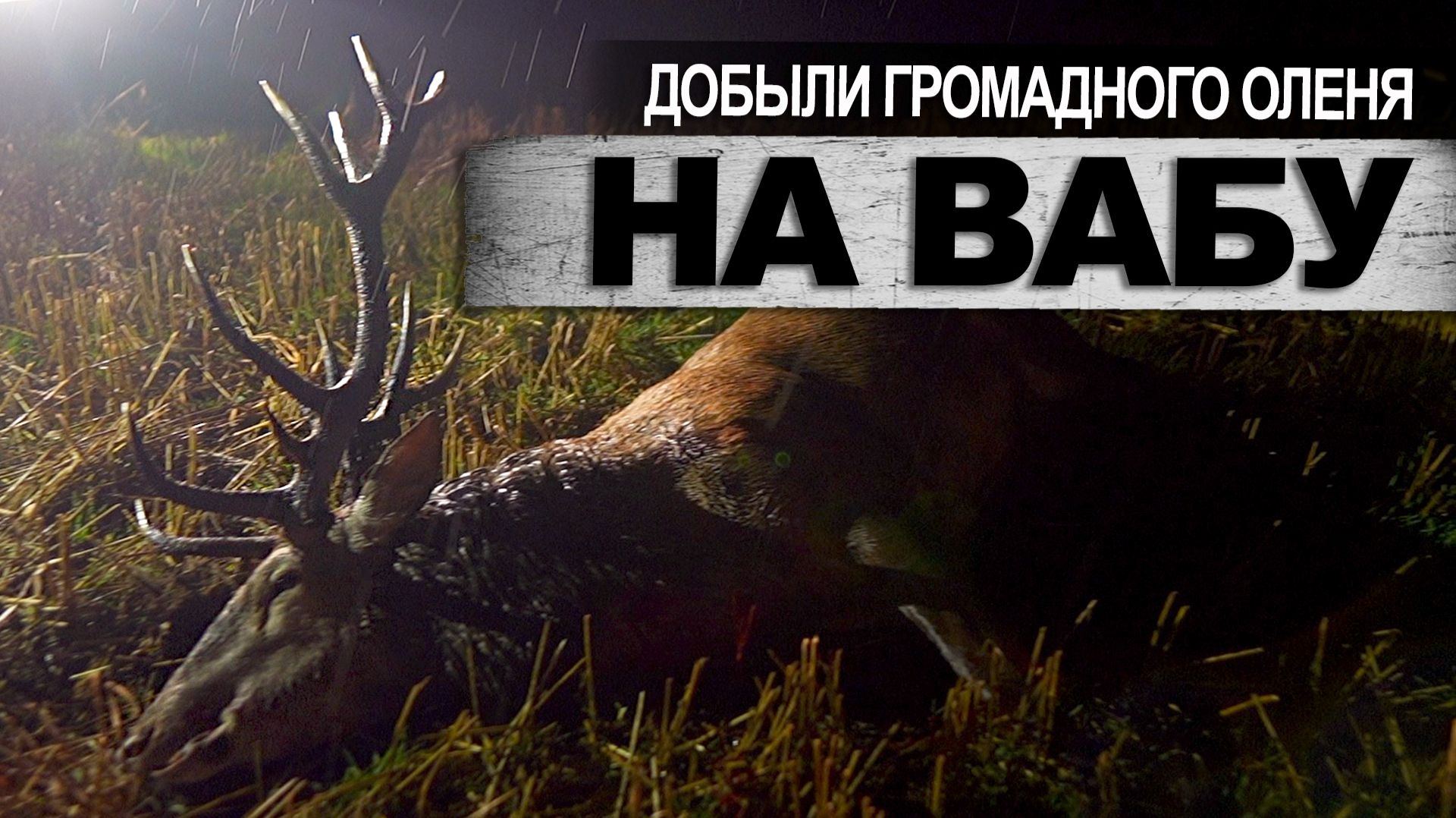 Охота на благородного оленя