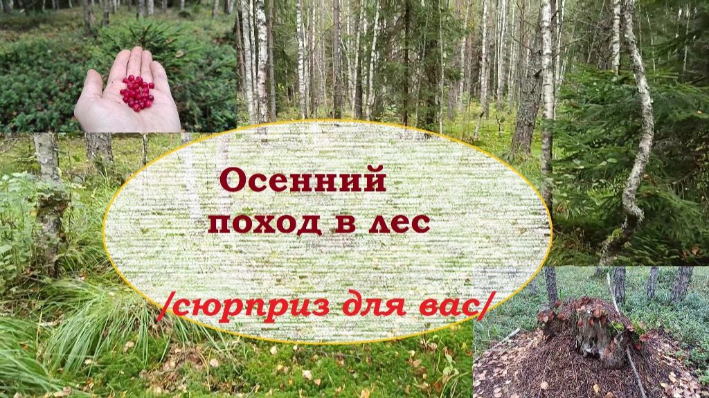 ПРИРОДА и всё что рядом