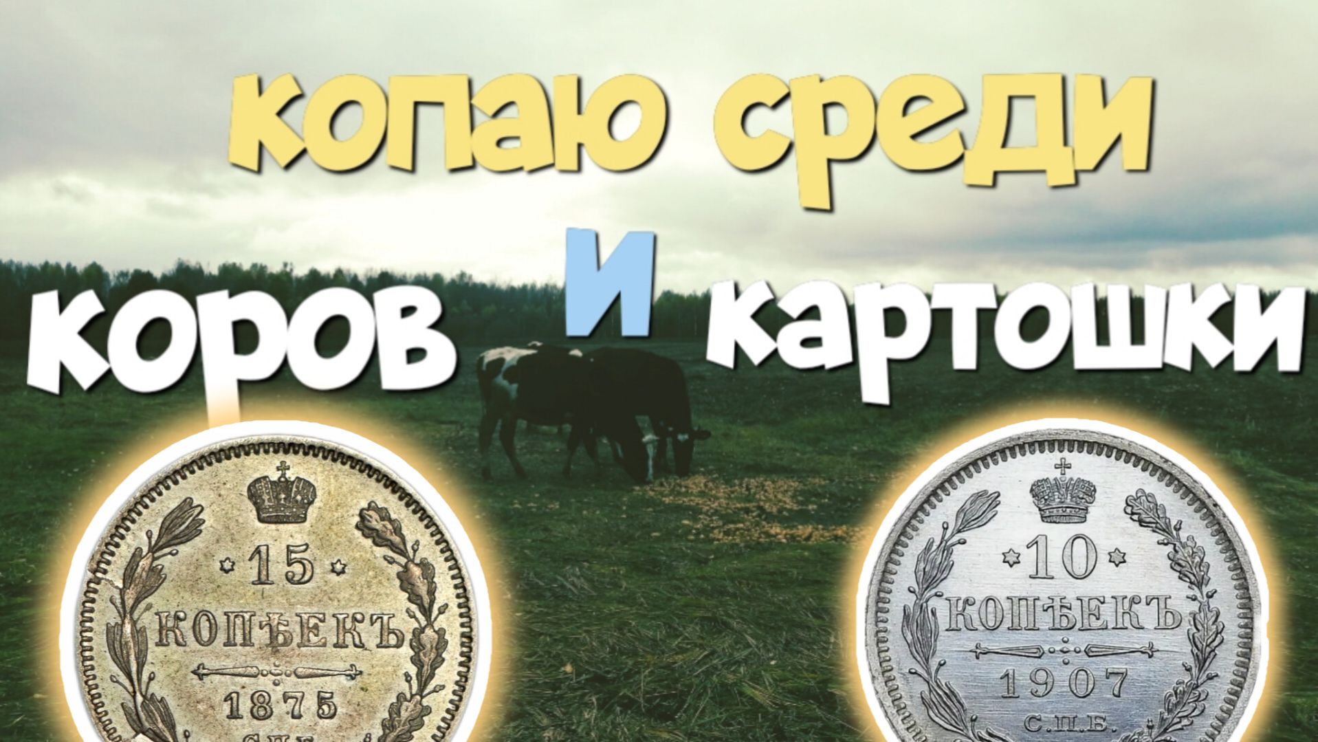Копаю среди коров и картошки. Поиск старины с Эквинокс 800.
