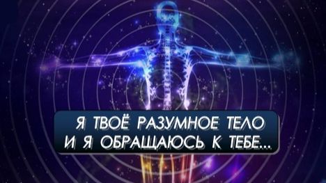 🧍 Я ТВОЁ РАЗУМНОЕ ТЕЛО И Я ОБРАЩАЮСЬ К ТЕБЕ...