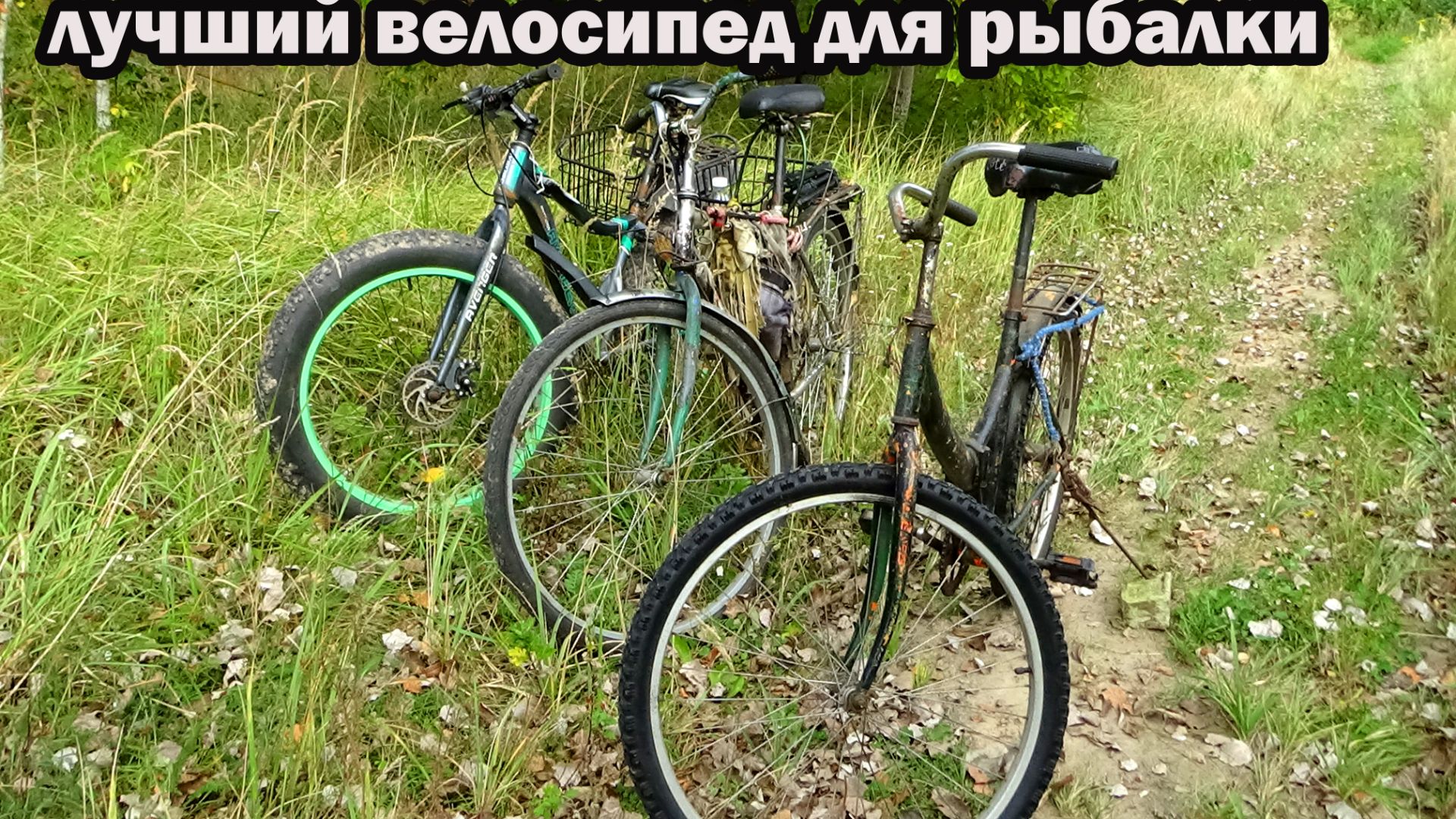 Информативные видео про рыбалку