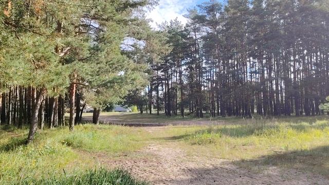 Езда на безотказных в работе по найму в организации