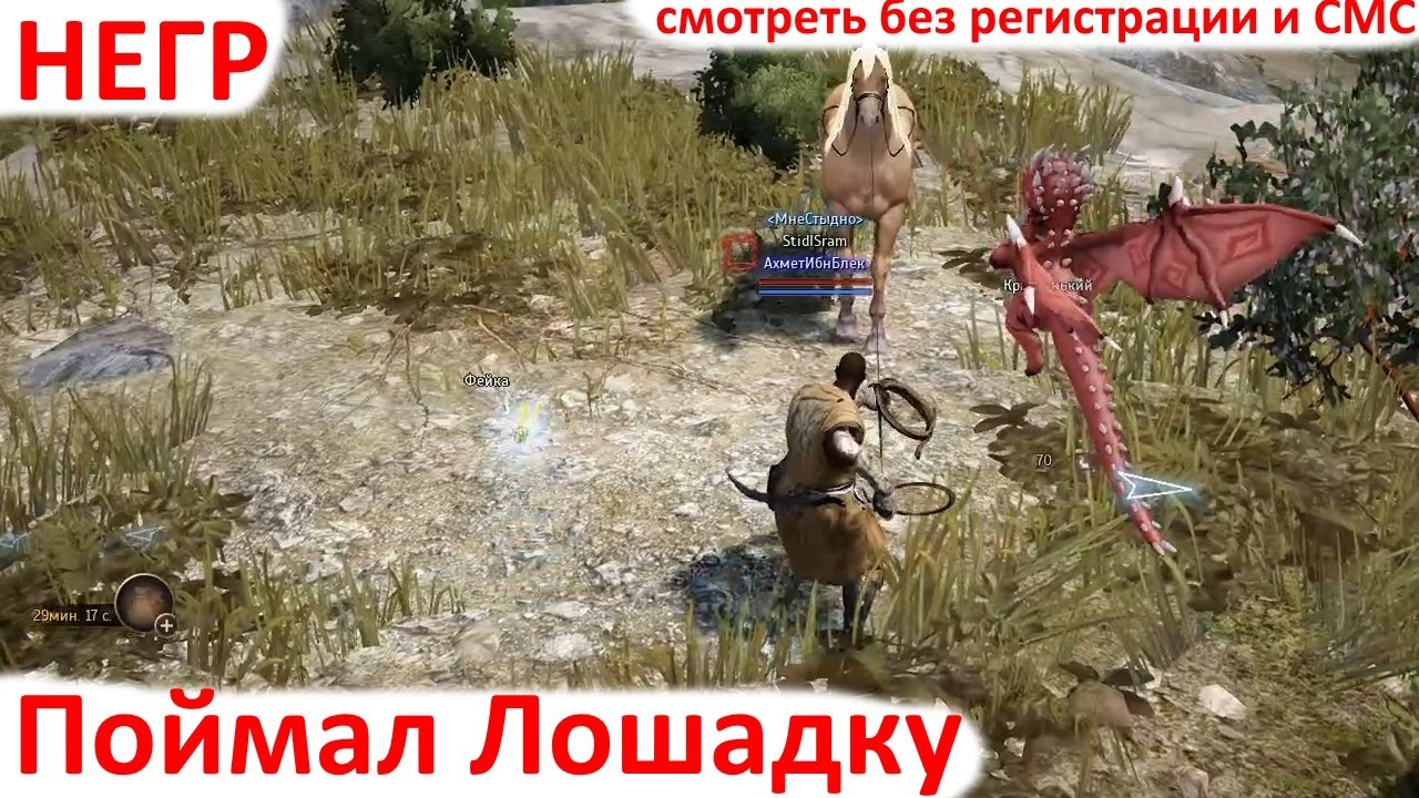 Black Desert 2025 - Фарм с Лошадками