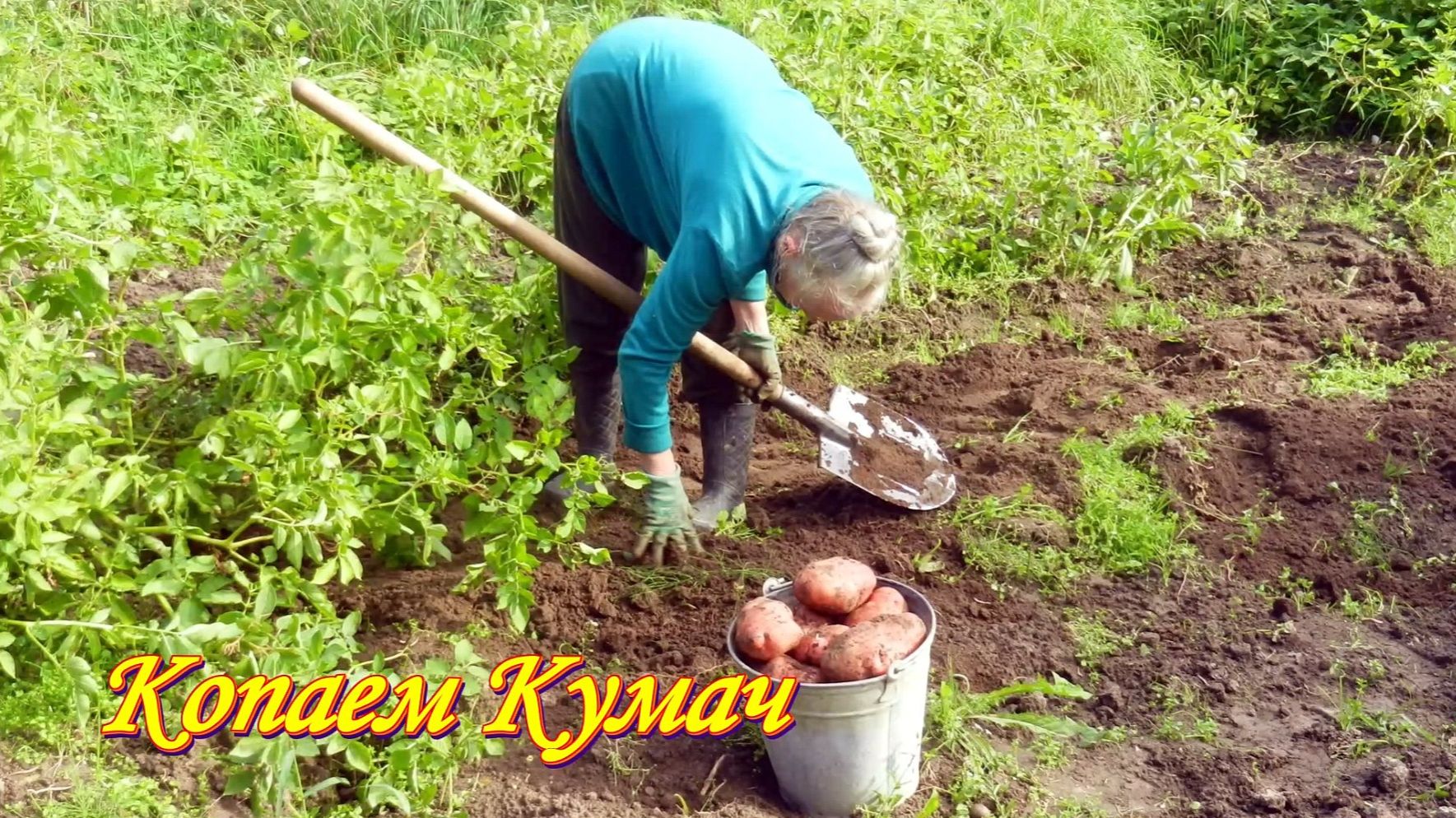 Дача, сад, огород, заготовки.