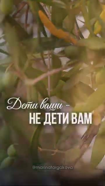 Не просите обратно у детей. #маринатаргакова #дети #воспитание #родители #мудрос_720p