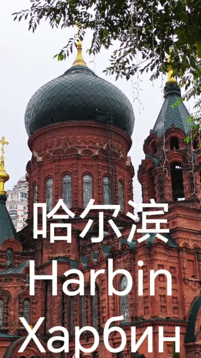 Добро пожаловать в Харбин 
#Харбин