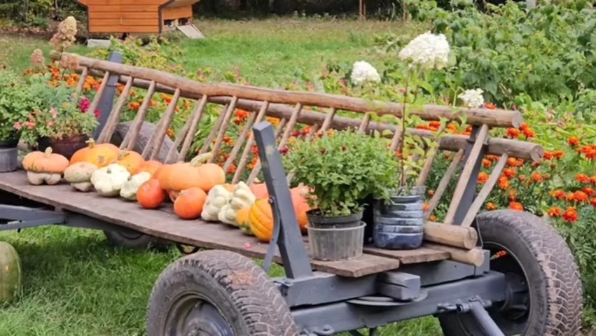 САМАЯ ПРИЯТНАЯ НЕУДАЧА! ГОСТИ НА ХУТОРЕ, СБОР АРБУЗОВ И ПОБЕДА НАД СИДЕНЬЕМ.