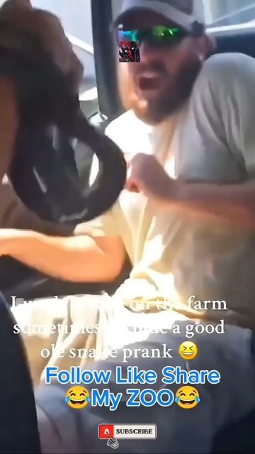 Эти Люди Сошли С Ума 🙀🫶😎