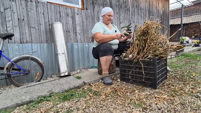 пока пол дня чистила и тут же покупатели написали/еще какой урожай/ мотивация