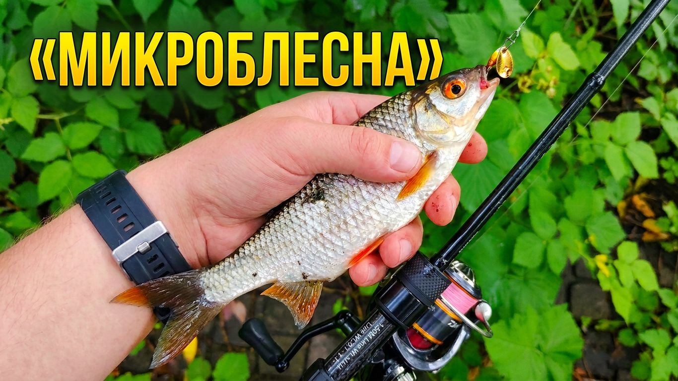 РЫБАЛКА НА МИКРОБЛЕСНЫ. #СПИННИНГ
