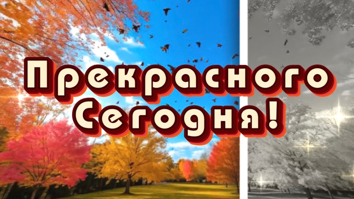 Доброе осеннее утро! Пожелания доброго утра