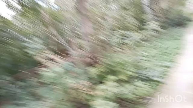 388)14.09.26.Моя городская🍀🍁🍀🍁🍀👩 жизнь