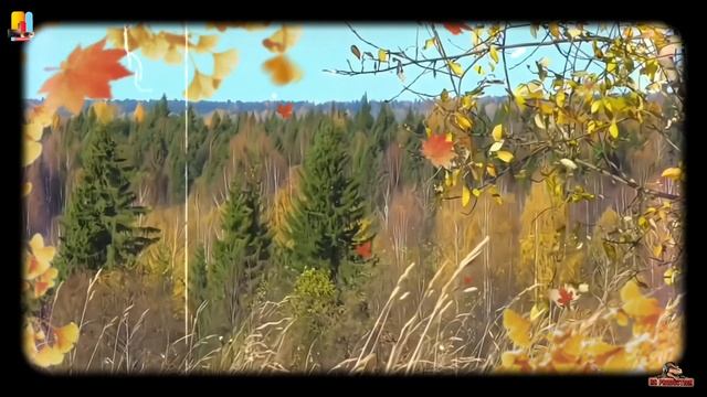 Вот И Лето Прошло (Только Этого Мало) 🍂🐪 Восточный Кавер _ Танцевальный Шансон_1080p