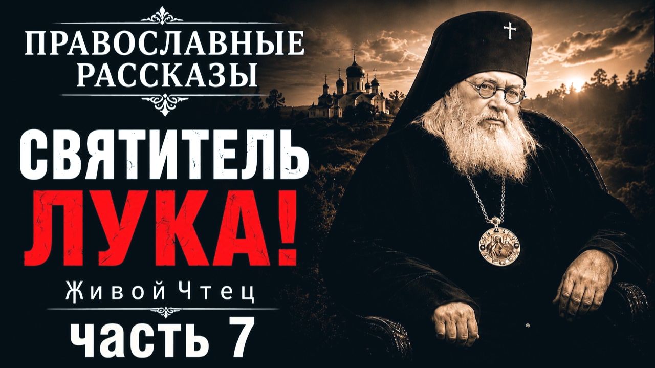 Мажор презирал деда-деревенщину Лука Крымский Православные Рассказы 7 часть