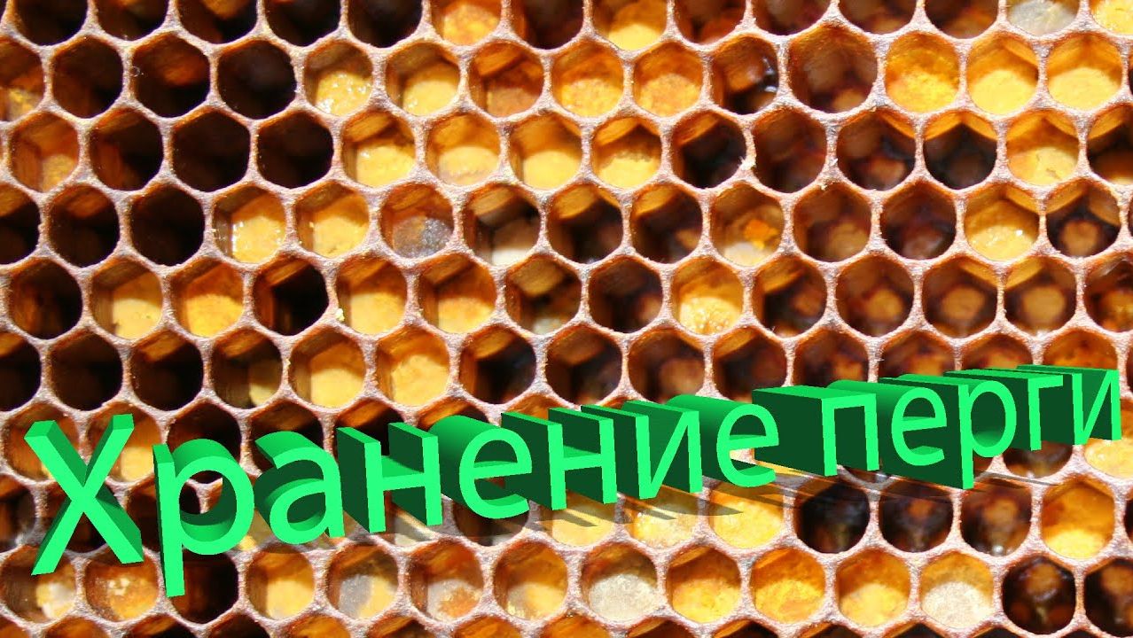 Продукты пчеловодства