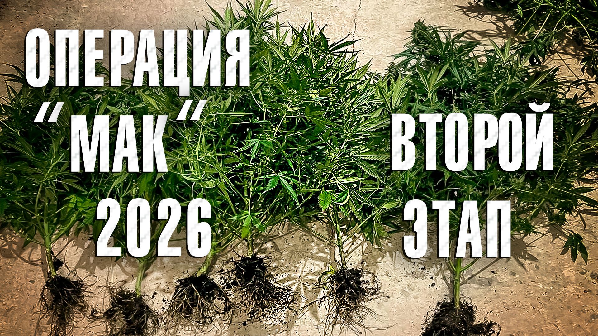 «Вызов 02» «Операция мак - второй этап»