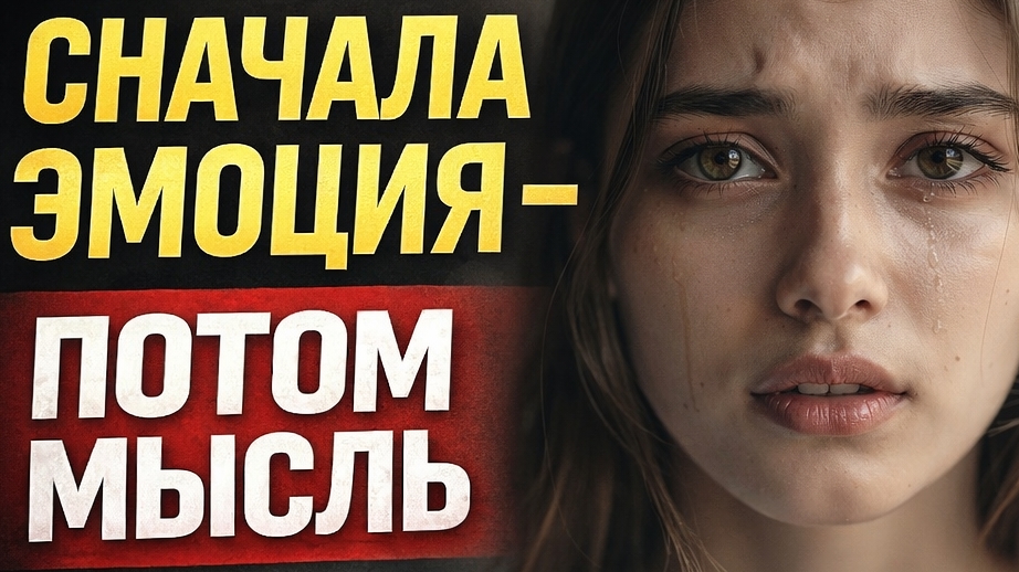 Эмоции и мозг: скрытые связи